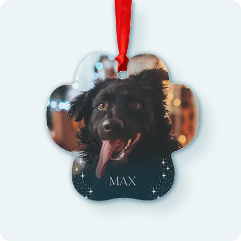 Paw Print Ornament
